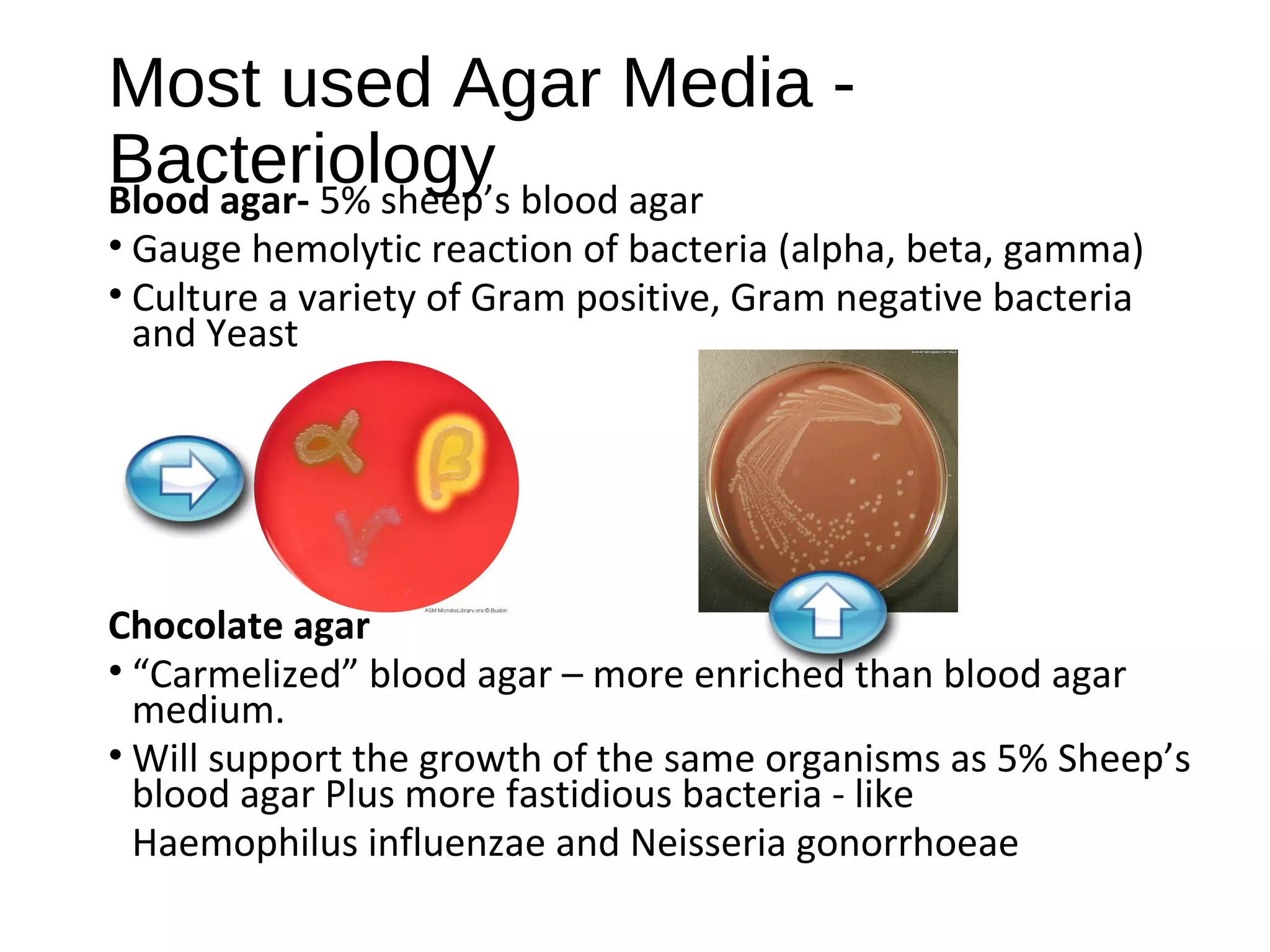 Most used Agar Media -
BacteriologyBlood agar- 5% sheep’s blood agar
• Gauge hemolytic reaction of bacteria (alpha, beta, gamma)
• Culture a variety of Gram positive, Gram negative bacteria
and Yeast
Chocolate agar
• “Carmelized” blood agar – more enriched than blood agar
medium.
• Will support the growth of the same organisms as 5% Sheep’s
blood agar Plus more fastidious bacteria - like
Haemophilus influenzae and Neisseria gonorrhoeae
 