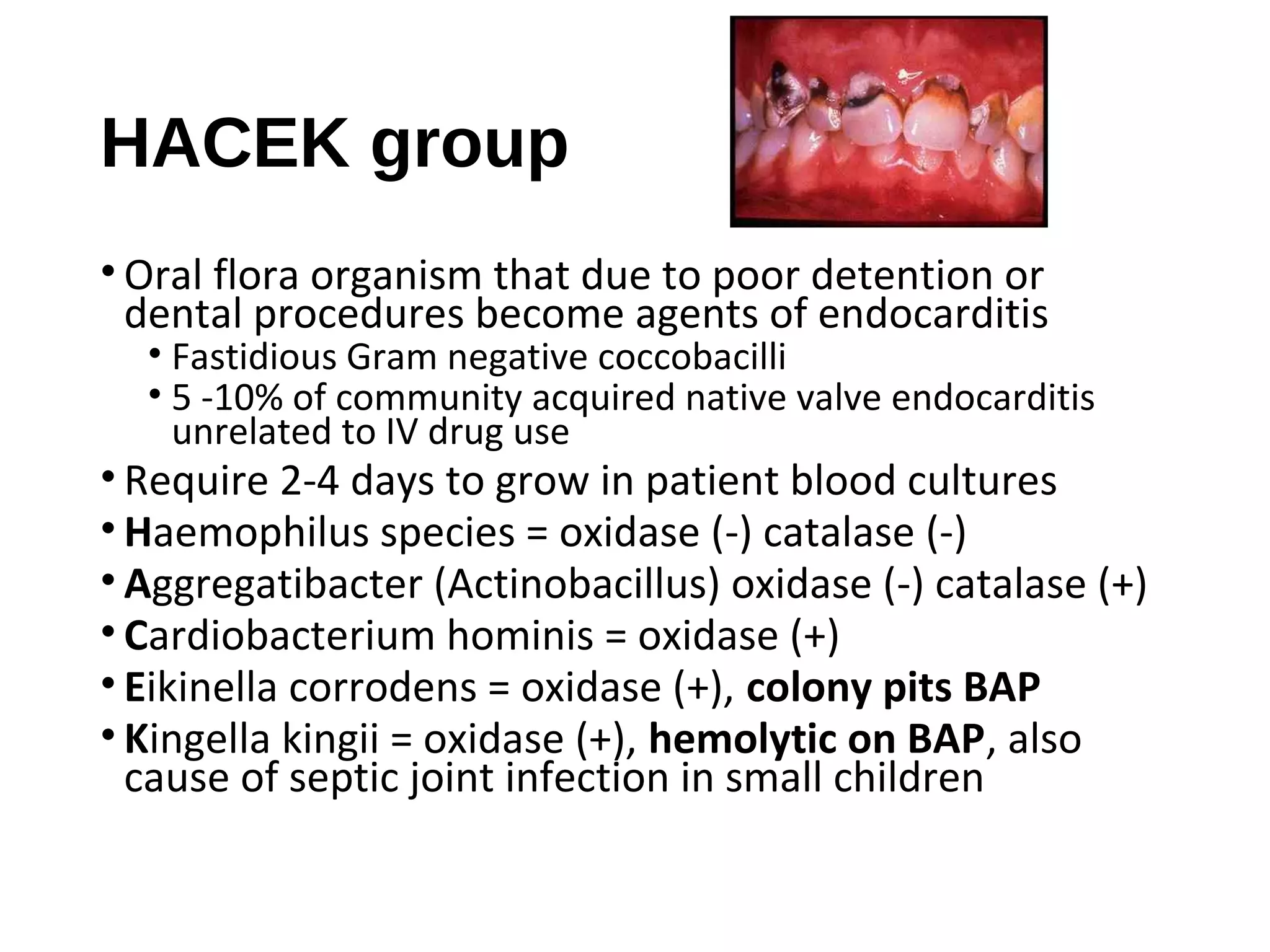 HACEK group
• Oral flora organism that due to poor detention or
dental procedures become agents of endocarditis
• Fastidious Gram negative coccobacilli
• 5 -10% of community acquired native valve endocarditis
unrelated to IV drug use
• Require 2-4 days to grow in patient blood cultures
• Haemophilus species = oxidase (-) catalase (-)
• Aggregatibacter (Actinobacillus) oxidase (-) catalase (+)
• Cardiobacterium hominis = oxidase (+)
• Eikinella corrodens = oxidase (+), colony pits BAP
• Kingella kingii = oxidase (+), hemolytic on BAP, also
cause of septic joint infection in small children
 