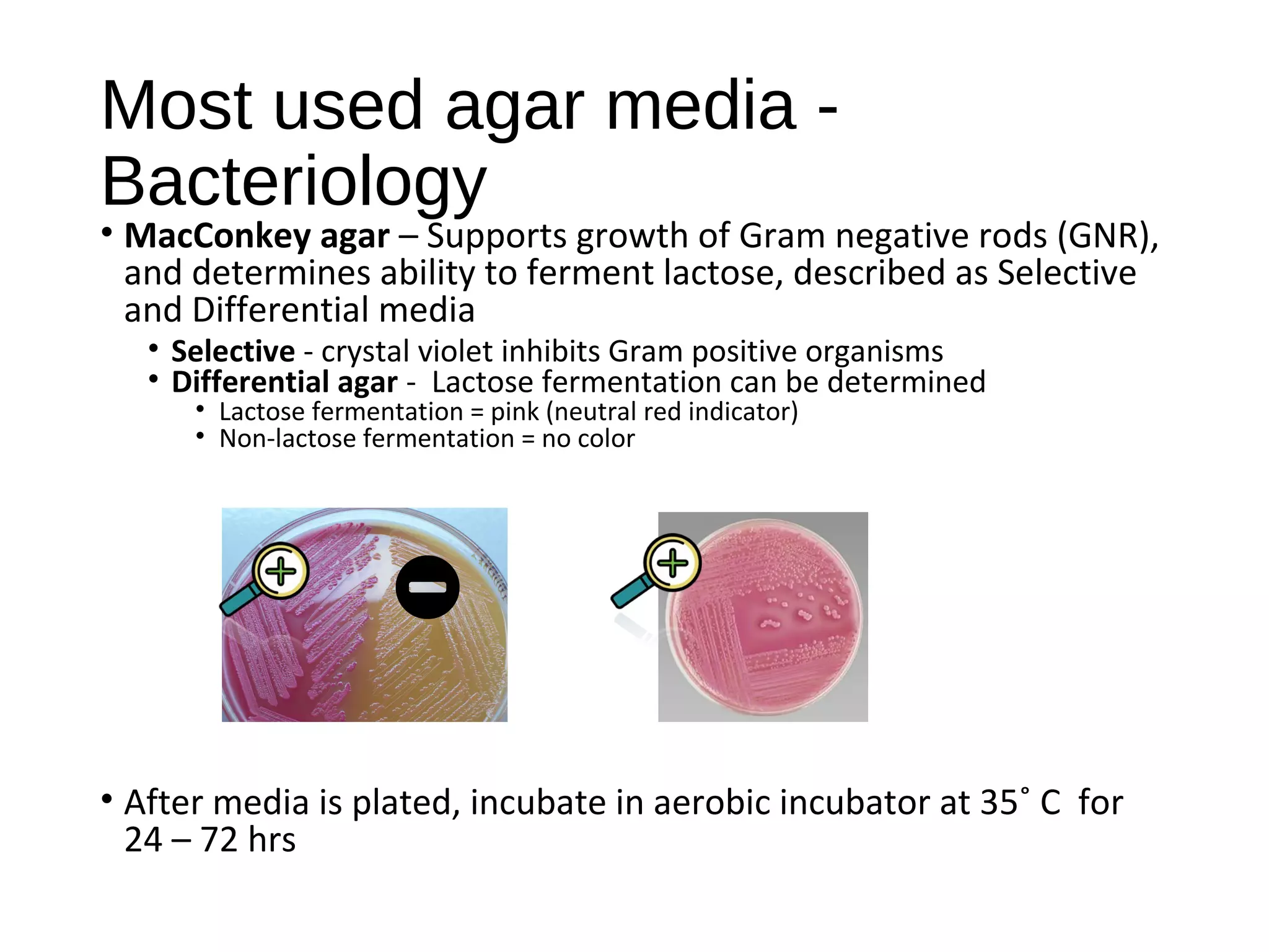 Most used agar media -
Bacteriology
• MacConkey agar – Supports growth of Gram negative rods (GNR),
and determines ability to ferment lactose, described as Selective
and Differential media
• Selective - crystal violet inhibits Gram positive organisms
• Differential agar - Lactose fermentation can be determined
• Lactose fermentation = pink (neutral red indicator)
• Non-lactose fermentation = no color
• After media is plated, incubate in aerobic incubator at 35˚ C for
24 – 72 hrs
 