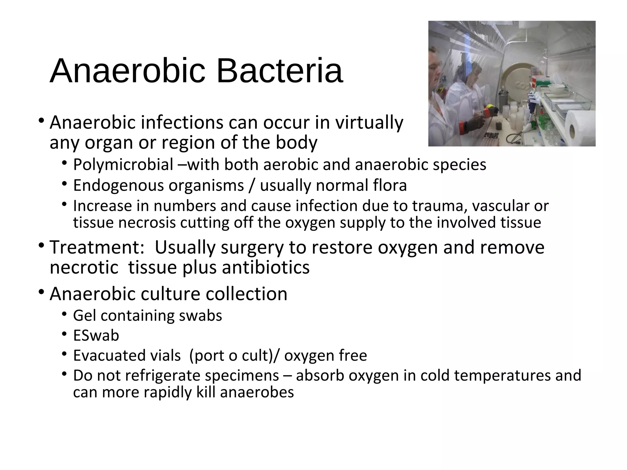 • Anaerobic infections can occur in virtually every
any organ or region of the body
• Polymicrobial –with both aerobic and anaerobic species
• Endogenous organisms / usually normal flora
• Increase in numbers and cause infection due to trauma, vascular or
tissue necrosis cutting off the oxygen supply to the involved tissue
• Treatment: Usually surgery to restore oxygen and remove
necrotic tissue plus antibiotics
• Anaerobic culture collection
• Gel containing swabs
• ESwab
• Evacuated vials (port o cult)/ oxygen free
• Do not refrigerate specimens – absorb oxygen in cold temperatures and
can more rapidly kill anaerobes
Anaerobic Bacteria
 