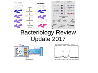 Bacteriology Review
Update 2017
 