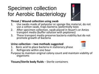 Bacteriology 2017 Update | PPT