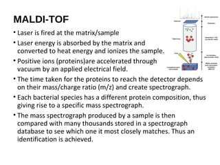 MALDI-TOF
• Laser is fired at the matrix/sample
• Laser energy is absorbed by the matrix and
converted to heat energy and ionizes the sample.
• Positive ions (proteins)are accelerated through a
vacuum by an applied electrical field.
• The time taken for the proteins to reach the detector depends
on their mass/charge ratio (m/z) and create spectrograph.
• Each bacterial species has a different protein composition, thus
giving rise to a specific mass spectrograph.
• The mass spectrograph produced by a sample is then
compared with many thousands stored in a spectrograph
database to see which one it most closely matches. Thus an
identification is achieved.
 