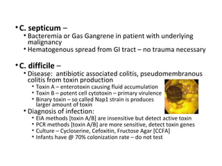 •C. septicum –
• Bacteremia or Gas Gangrene in patient with underlying
malignancy
• Hematogenous spread from GI tract – no trauma necessary
•C. difficile –
• Disease: antibiotic associated colitis, pseudomembranous
colitis from toxin production
• Toxin A – enterotoxin causing fluid accumulation
• Toxin B – potent cell cytotoxin – primary virulence
• Binary toxin – so called Nap1 strain is produces
larger amount of toxin
• Diagnosis of infection:
• EIA methods [toxin A/B] are insensitive but detect active toxin
• PCR methods [toxin A/B] are more sensitive, detect toxin genes
• Culture – Cycloserine, Cefoxitin, Fructose Agar [CCFA]
• Infants have @ 70% colonization rate – do not test
 