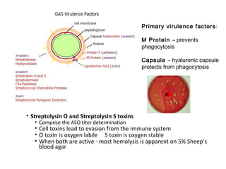 • Streptolysin O and Streptolysin S toxins
• Comprise the ASO titer determination
• Cell toxins lead to evasion from the immune system
• O toxin is oxygen labile S toxin is oxygen stable
• When both are active - most hemolysis is apparent on 5% Sheep’s
blood agar
Primary virulence factors:
M Protein – prevents
phagocytosis
Capsule – hyaluronic capsule
protects from phagocytosis
 