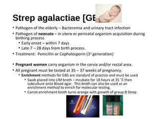 Strep agalactiae [GBS]
• Pathogen of the elderly – Bacteremia and urinary tract infection
• Pathogen of neonate – in utero or perinatal organism acquisition during
birthing process
• Early onset – within 7 days
• Late 7 – 28 days from birth process.
• Treatment: Penicillin or Cephalosporin (3rd
generation)
• Pregnant women carry organism in the cervix and/or rectal area.
• All pregnant must be tested at 35 – 37 weeks of pregnancy.
• Enrichment methods for GBS are standard of practice and must be used
• Swab placed into LIM broth – incubate for 18 hours at 35 ˚C then
subculture onto Blood agar. This broth can also be used as an
enrichment method to enrich for molecular testing.
• Carrot enrichment broth turns orange with growth of group B Strep
Carrot Broth
 