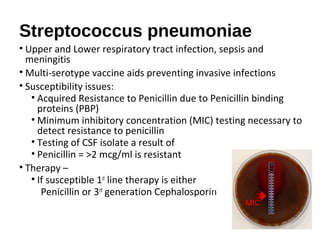 Streptococcus pneumoniae
• Upper and Lower respiratory tract infection, sepsis and
meningitis
• Multi-serotype vaccine aid...