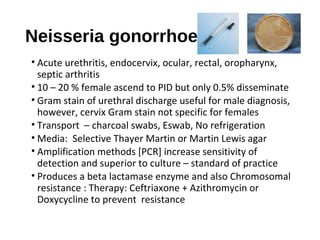 Neisseria gonorrhoeae
• Acute urethritis, endocervix, ocular, rectal, oropharynx,
septic arthritis
• 10 – 20 % female asce...
