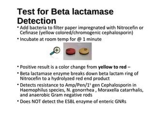 Test for Beta lactamaseTest for Beta lactamase
DetectionDetection
• Add bacteria to filter paper impregnated with Nitrocefin orAdd bacteria to filter paper impregnated with Nitrocefin or
Cefinase (yellow colored/chromogenic cephalosporin)Cefinase (yellow colored/chromogenic cephalosporin)
• Incubate at room temp for @ 1 minuteIncubate at room temp for @ 1 minute
• Positive result is a color change fromPositive result is a color change from yellow to redyellow to red ––
• Beta lactamase enzyme breaks down beta lactam ring ofBeta lactamase enzyme breaks down beta lactam ring of
Nitrocefin to a hydrolyzed red end productNitrocefin to a hydrolyzed red end product
• Detects resistance to Amp/Pen/1Detects resistance to Amp/Pen/1StSt
gen Cephalosporin ingen Cephalosporin in
Haemophilus species, N. gonorrhea , Moraxella catarrhalis,Haemophilus species, N. gonorrhea , Moraxella catarrhalis,
and anaerobic Gram negative rodsand anaerobic Gram negative rods
• Does NOT detect the ESBL enzyme of enteric GNRsDoes NOT detect the ESBL enzyme of enteric GNRs
 