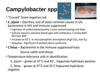 Campylobacter spp.
• “Curved” Gram negative rod
• C. jejuni – Diarrhea, one of most common causes in US,
bacteremia in HIV...