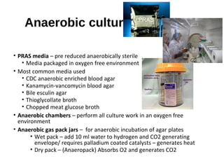 Anaerobic culturing
• PRAS media – pre reduced anaerobically sterile
• Media packaged in oxygen free environment
• Most common media used
• CDC anaerobic enriched blood agar
• Kanamycin-vancomycin blood agar
• Bile esculin agar
• Thioglycollate broth
• Chopped meat glucose broth
• Anaerobic chambers – perform all culture work in an oxygen free
environment
• Anaerobic gas pack jars – for anaerobic incubation of agar plates
• Wet pack – add 10 ml water to hydrogen and CO2 generating
envelope/ requires palladium coated catalysts – generates heat
• Dry pack – (Anaeropack) Absorbs O2 and generates CO2
PRAS
 