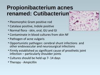 Propionibacterium acnes
renamed: Cutibacterium
• Pleomorphic Gram positive rod
• Catalase positive, Indole positive
• Normal flora - skin, oral, GU and GI
• Contaminate in blood cultures from skin NF
• Pathogen of acne vulgaris
• Opportunistic pathogen: cerebral shunt infections and
other endovascular and neurosurgical infections
• Firmly established as significant cause of prosthetic joint
infection – particularly shoulder joints
• Cultures should be held up 7- 14 days
• Therapy - Ampicillin
 