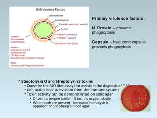 • Streptolysin O and Streptolysin S toxins
• Comprise the ASO titer assay that assists in the diagnosis of GAS sequelae
• Cell toxins lead to evasion from the immune system
• Toxin activity can be demonstrated on solid agar
• O toxin is oxygen labile S toxin is oxygen stable
• When both are present - increased hemolysis is
apparent on 5% Sheep’s blood agar
Primary virulence factors:
M Protein – prevents
phagocytosis
Capsule – hyaluronic capsule
prevents phagocytosis
 
