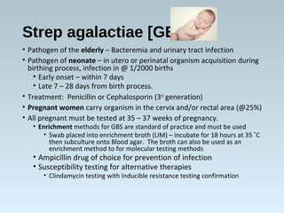 Strep agalactiae [GBS]
• Pathogen of the elderly – Bacteremia and urinary tract infection
• Pathogen of neonate – in utero or perinatal organism acquisition during
birthing process, infection in @ 1/2000 births
• Early onset – within 7 days
• Late 7 – 28 days from birth process.
• Treatment: Penicillin or Cephalosporin (3rd
generation)
• Pregnant women carry organism in the cervix and/or rectal area (@25%)
• All pregnant must be tested at 35 – 37 weeks of pregnancy.
• Enrichment methods for GBS are standard of practice and must be used
• Swab placed into enrichment broth (LIM) – incubate for 18 hours at 35 ˚C
then subculture onto Blood agar. The broth can also be used as an
enrichment method to for molecular testing methods
• Ampicillin drug of choice for prevention of infection
• Susceptibility testing for alternative therapies
• Clindamycin testing with Inducible resistance testing confirmation
 
