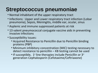 Streptococcus pneumoniae
• Normal inhabitant of the upper respiratory tract
• Infections: Upper and Lower respiratory tract infection (Lobar
pneumonia), Sepsis, Meningitis, middle ear, ocular, sinus
• Asplenic and immune suppressed patients at risk
• 13 valent pneumococcal conjugate vaccine aids in preventing
invasive infections
• Susceptibility issues:
• Acquired Resistance to Penicillin due to Penicillin binding
proteins (PBP)
• Minimum inhibitory concentration (MIC) testing necessary to
detect resistance to penicillin – KB testing cannot be used
• If susceptible, 1st
line therapies include Penicillin or 3rd
generation Cephalosporin (Cefotaxime/Ceftriaxone)
 