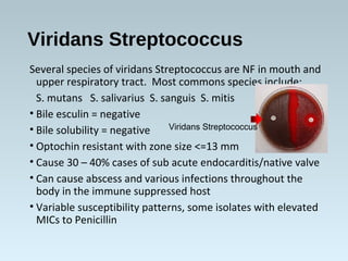 Viridans Streptococcus
Several species of viridans Streptococcus are NF in mouth and
upper respiratory tract. Most commons species include:
S. mutans S. salivarius S. sanguis S. mitis
• Bile esculin = negative
• Bile solubility = negative
• Optochin resistant with zone size <=13 mm
• Cause 30 – 40% cases of sub acute endocarditis/native valve
• Can cause abscess and various infections throughout the
body in the immune suppressed host
• Variable susceptibility patterns, some isolates with elevated
MICs to Penicillin
Viridans Streptococcus
 