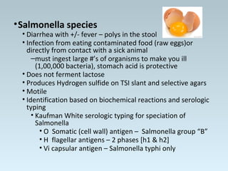 •Salmonella species
• Diarrhea with +/- fever – polys in the stool
• Infection from eating contaminated food (raw eggs)or
directly from contact with a sick animal
–must ingest large #’s of organisms to make you ill
(1,00,000 bacteria), stomach acid is protective
• Does not ferment lactose
• Produces Hydrogen sulfide on TSI slant and selective agars
• Motile
• Identification based on biochemical reactions and serologic
typing
• Kaufman White serologic typing for speciation of
Salmonella
• O Somatic (cell wall) antigen – Salmonella group “B”
• H flagellar antigens – 2 phases [h1 & h2]
• Vi capsular antigen – Salmonella typhi only
 
