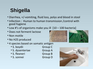 Shigella
• Diarrhea, +/-vomiting, fluid loss, polys and blood in stool
• Infection : Human to human transmission /control with
good hygiene
• Low #’s of organisms make you ill [10 – 100 bacteria]
• Does not ferment lactose
• Non motile
• No H2S produced
• 4 species based on somatic antigen
• S. boydii Group C
• S. dysenteriae Group A
• S. flexneri Group B
• S. sonnei Group D
 