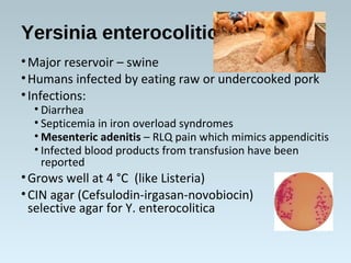 Yersinia enterocolitica
•Major reservoir – swine
•Humans infected by eating raw or undercooked pork
•Infections:
• Diarrhea
• Septicemia in iron overload syndromes
• Mesenteric adenitis – RLQ pain which mimics appendicitis
• Infected blood products from transfusion have been
reported
•Grows well at 4 °C (like Listeria)
•CIN agar (Cefsulodin-irgasan-novobiocin)
selective agar for Y. enterocolitica
 