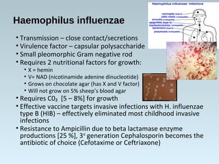 Haemophilus influenzae
• Transmission – close contact/secretions
• Virulence factor – capsular polysaccharide
• Small pleomorphic Gram negative rod
• Requires 2 nutritional factors for growth:
• X = hemin
• V= NAD (nicotinamide adenine dinucleotide)
• Grows on chocolate agar (has X and V factor)
• Will not grow on 5% sheep’s blood agar
• Requires C0₂ [5 – 8%] for growth
• Effective vaccine targets invasive infections with H. influenzae
type B (HIB) – effectively eliminated most childhood invasive
infections
• Resistance to Ampicillin due to beta lactamase enzyme
productions [25 %], 3rd
generation Cephalosporin becomes the
antibiotic of choice (Cefotaxime or Ceftriaxone)
 