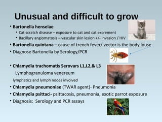 Unusual and difficult to grow
• Bartonella henselae
• Cat scratch disease – exposure to cat and cat excrement
• Bacillary angiomatosis – vascular skin lesion +/- invasion / HIV
• Bartonella quintana – cause of trench fever/ vector is the body louse
• Diagnose Bartonella by Serology/PCR
• Chlamydia trachomatis Serovars L1,L2,& L3
Lymphogranuloma venereum
lymphatics and lymph nodes involved
• Chlamydia pneumoniae (TWAR agent)- Pneumonia
• Chlamydia psittaci- psittacosis, pneumonia, exotic parrot exposure
• Diagnosis: Serology and PCR assays
 