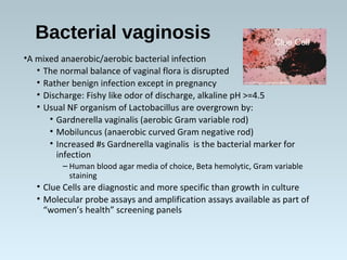 Bacterial vaginosis
•A mixed anaerobic/aerobic bacterial infection
• The normal balance of vaginal flora is disrupted
• Rather benign infection except in pregnancy
• Discharge: Fishy like odor of discharge, alkaline pH >=4.5
• Usual NF organism of Lactobacillus are overgrown by:
• Gardnerella vaginalis (aerobic Gram variable rod)
• Mobiluncus (anaerobic curved Gram negative rod)
• Increased #s Gardnerella vaginalis is the bacterial marker for
infection
– Human blood agar media of choice, Beta hemolytic, Gram variable
staining
• Clue Cells are diagnostic and more specific than growth in culture
• Molecular probe assays and amplification assays available as part of
“women’s health” screening panels
Clue Cell
 