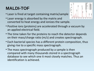 MALDI-TOF
• Laser is fired at target containing matrix/sample
• Laser energy is absorbed by the matrix and
converted to heat energy and ionizes the sample.
• Positive ions (proteins) are accelerated through a vacuum by
an applied electrical field.
• The time taken for the proteins to reach the detector depends
on their mass/charge ratio (m/z) and creates spectrograph.
• Each bacterial species has a different protein composition, thus
giving rise to a specific mass spectrograph.
• The mass spectrograph produced by a sample is then
compared with many thousands stored in a spectrograph
database to see which one it most closely matches. Thus an
identification is achieved.
 