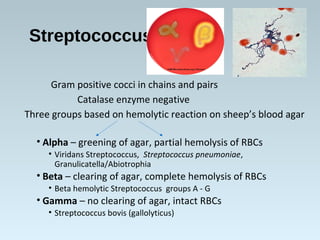 Streptococcus
Gram positive cocci in chains and pairs
Catalase enzyme negative
Three groups based on hemolytic reaction on...