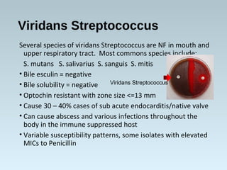 Viridans Streptococcus
Several species of viridans Streptococcus are NF in mouth and
upper respiratory tract. Most commons...