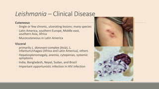 Leishmania – Clinical Disease
Cutaneous
◦ Single or few chronic, ulcerating lesions; many species
◦ Latin America, souther...
