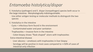 Entamoeba histolytica/dispar
E. histolytica (pathogen) and E. dispar (nonpathogen) species both occur in
the large intesti...