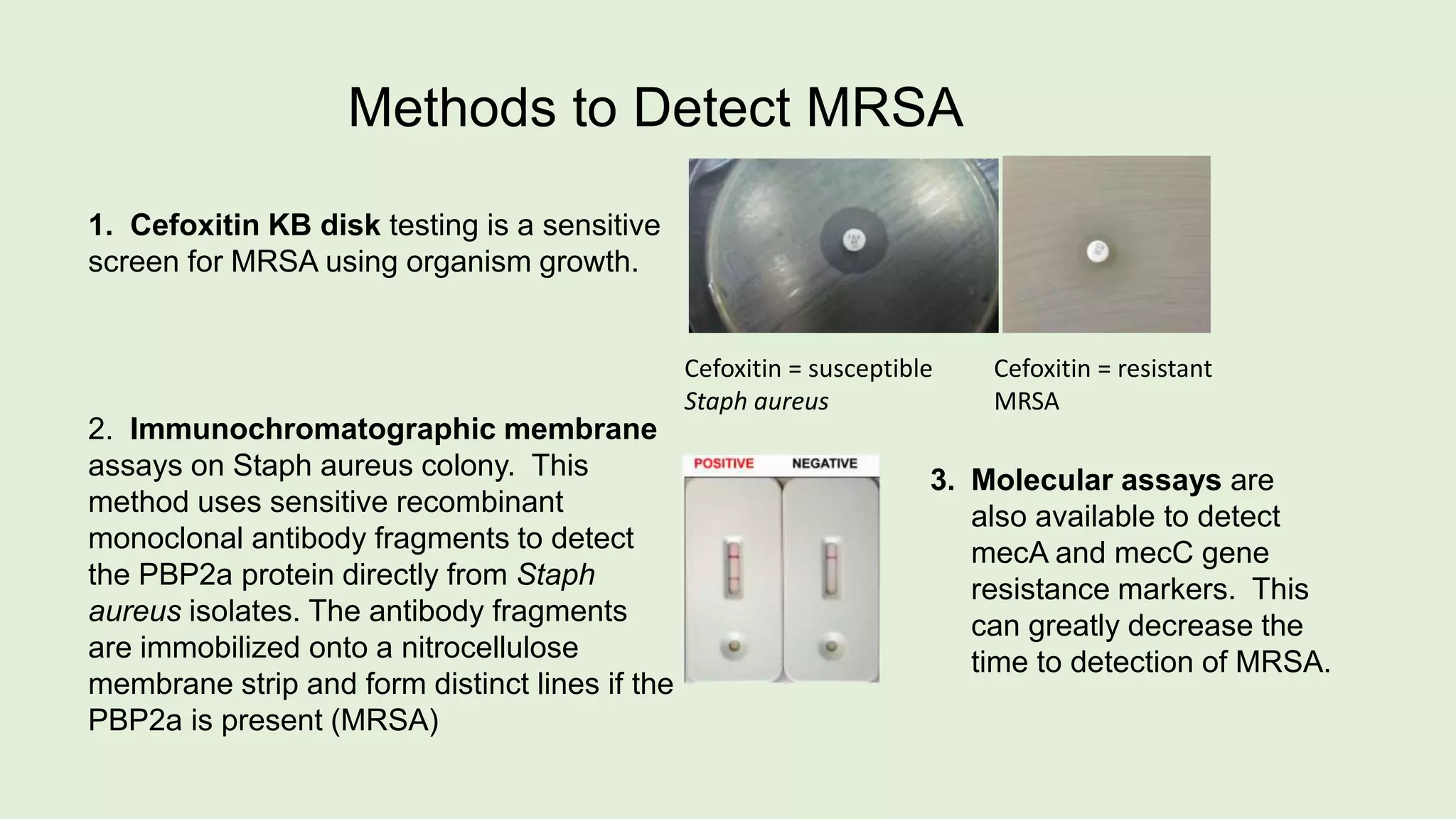 1. Cefoxitin KB disk testing is a sensitive
screen for MRSA using organism growth.
2. Immunochromatographic membrane
assays on Staph aureus colony. This
method uses sensitive recombinant
monoclonal antibody fragments to detect
the PBP2a protein directly from Staph
aureus isolates. The antibody fragments
are immobilized onto a nitrocellulose
membrane strip and form distinct lines if the
PBP2a is present (MRSA)
Methods to Detect MRSA
Cefoxitin = susceptible
Staph aureus
Cefoxitin = resistant
MRSA
3. Molecular assays are
also available to detect
mecA and mecC gene
resistance markers. This
can greatly decrease the
time to detection of MRSA.
 