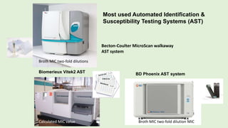 Becton-Coulter MicroScan walkaway
AST system
BD Phoenix AST system
Biomerieux Vitek2 AST
Most used Automated Identification &
Susceptibility Testing Systems (AST)
Broth MIC two-fold dilutions
Calculated MIC value Broth MIC two-fold dilution MIC
 