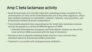 Amp C beta lactamase activity
• AmpC β-lactamases are clinically important cephalosporinases encoded on the
chromosomes of many of the Enterobacteriales and a few other organisms, where
they mediate resistance to cephalothin, cefazolin, cefoxitin, most penicillins, and
β-lactamase inhibitor-β-lactam combinations.
• Transmissible plasmids have acquired genes for AmpC beta lactamase enzymes
and can be passed to a variety of different genera of GNRs
• Klebsiella (Enterobacter) aerogenes and Enterobacter cloacae are two of the
most common GNRs associated with this type of resistance
• Resistance due to plasmid-mediated AmpC enzymes is less common than
extended-spectrum β-lactamase (ESBL) production
• Treatment is successful with Carbapenemase antibiotics
 