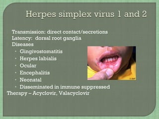  Transmission: direct contact/secretions
 Latency: dorsal root ganglia
 Diseases
• Gingivostomatitis
• Herpes labialis
• Ocular
• Encephalitis
• Neonatal
• Disseminated in immune suppressed
Therapy – Acyclovir, Valacyclovir
 