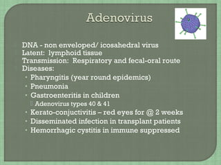  DNA - non enveloped/ icosahedral virus
 Latent: lymphoid tissue
 Transmission: Respiratory and fecal-oral route
 Diseases:
• Pharyngitis (year round epidemics)
• Pneumonia
• Gastroenteritis in children
 Adenovirus types 40 & 41
• Kerato-conjuctivitis – red eyes for @ 2 weeks
• Disseminated infection in transplant patients
• Hemorrhagic cystitis in immune suppressed
 