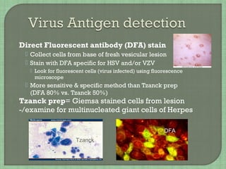  Direct Fluorescent antibody (DFA) stain
 Collect cells from base of fresh vesicular lesion
 Stain with DFA specific for HSV and/or VZV
 Look for fluorescent cells (virus infected) using fluorescence
microscope
 More sensitive & specific method than Tzanck prep
(DFA 80% vs. Tzanck 50%)
 Tzanck prep= Giemsa stained cells from lesion
-/examine for multinucleated giant cells of Herpes
Tzanck
Tzanck
DFA
 
