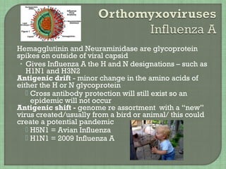 Hemagglutinin and Neuraminidase are glycoprotein
spikes on outside of viral capsid
• Gives Influenza A the H and N designations – such as
H1N1 and H3N2
 Antigenic drift - minor change in the amino acids of
either the H or N glycoprotein
 Cross antibody protection will still exist so an
epidemic will not occur
 Antigenic shift - genome re assortment with a “new”
virus created/usually from a bird or animal/ this could
create a potential pandemic
 H5N1 = Avian Influenza
 H1N1 = 2009 Influenza A
 