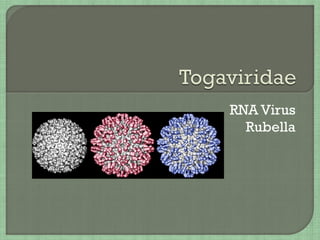 RNA Virus
Rubella
 
