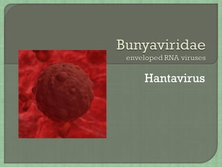 Hantavirus
 