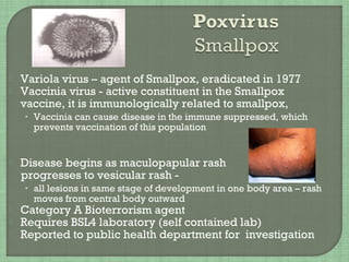  Variola virus – agent of Smallpox, eradicated in 1977
 Vaccinia virus - active constituent in the Smallpox
vaccine, it is immunologically related to smallpox,
• Vaccinia can cause disease in the immune suppressed, which
prevents vaccination of this population
 Disease begins as maculopapular rash
progresses to vesicular rash -
• all lesions in same stage of development in one body area – rash
moves from central body outward
 Category A Bioterrorism agent
 Requires BSL4 laboratory (self contained lab)
 Reported to public health department for investigation
 
