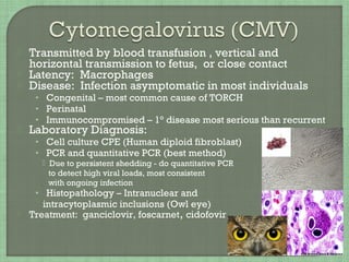 Transmission - close contact, saliva
 Latency - B lymphocytes –
• cell receptor CD21
 Diseases include:
• Infectious m...