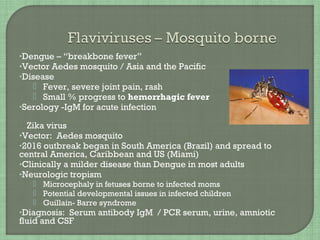 Yellow fever
 Vector – Aedes aegypti
 Most cases mild with 3-4 days fever, headache, chills,
back pain, fatigue, nause...