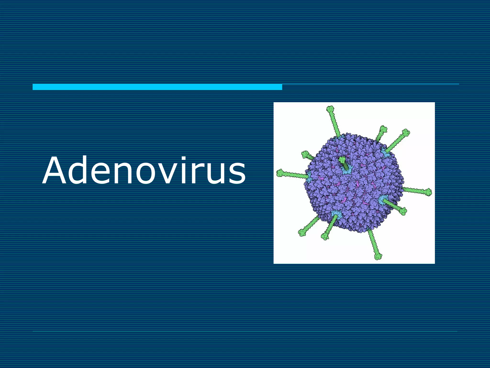 Adenovirus

 