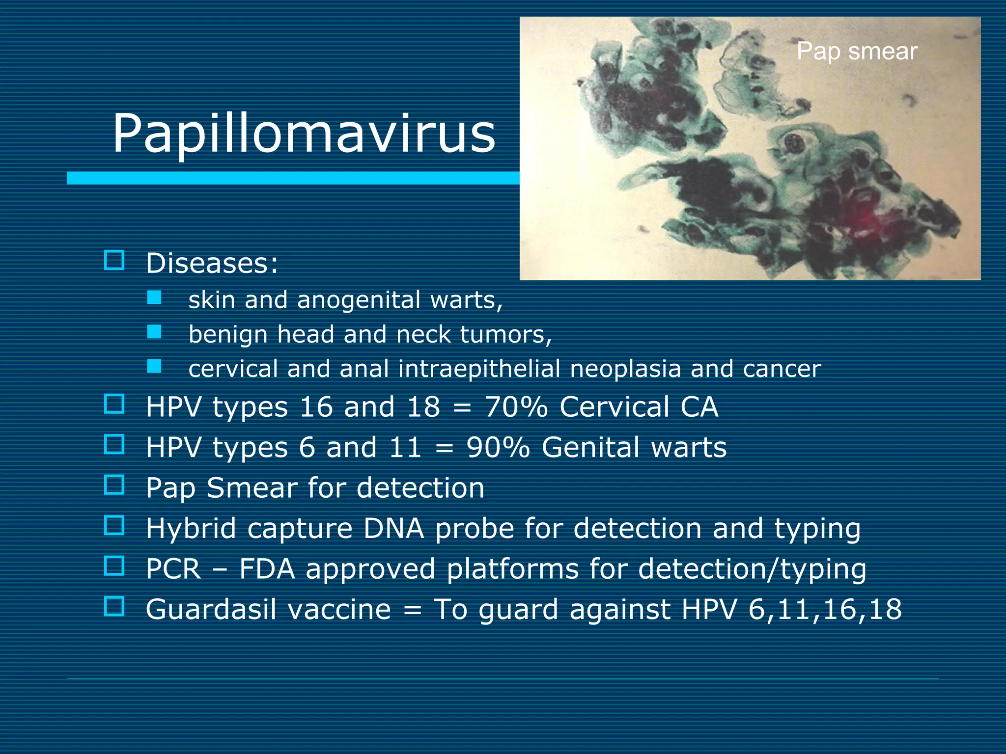 Pap smear

Papillomavirus
 Diseases:











skin and anogenital warts,
benign head and neck tumors,
cervical and anal intraepithelial neoplasia and cancer

HPV types 16 and 18 = 70% Cervical CA
HPV types 6 and 11 = 90% Genital warts
Pap Smear for detection
Hybrid capture DNA probe for detection and typing
PCR – FDA approved platforms for detection/typing
Guardasil vaccine = To guard against HPV 6,11,16,18

 