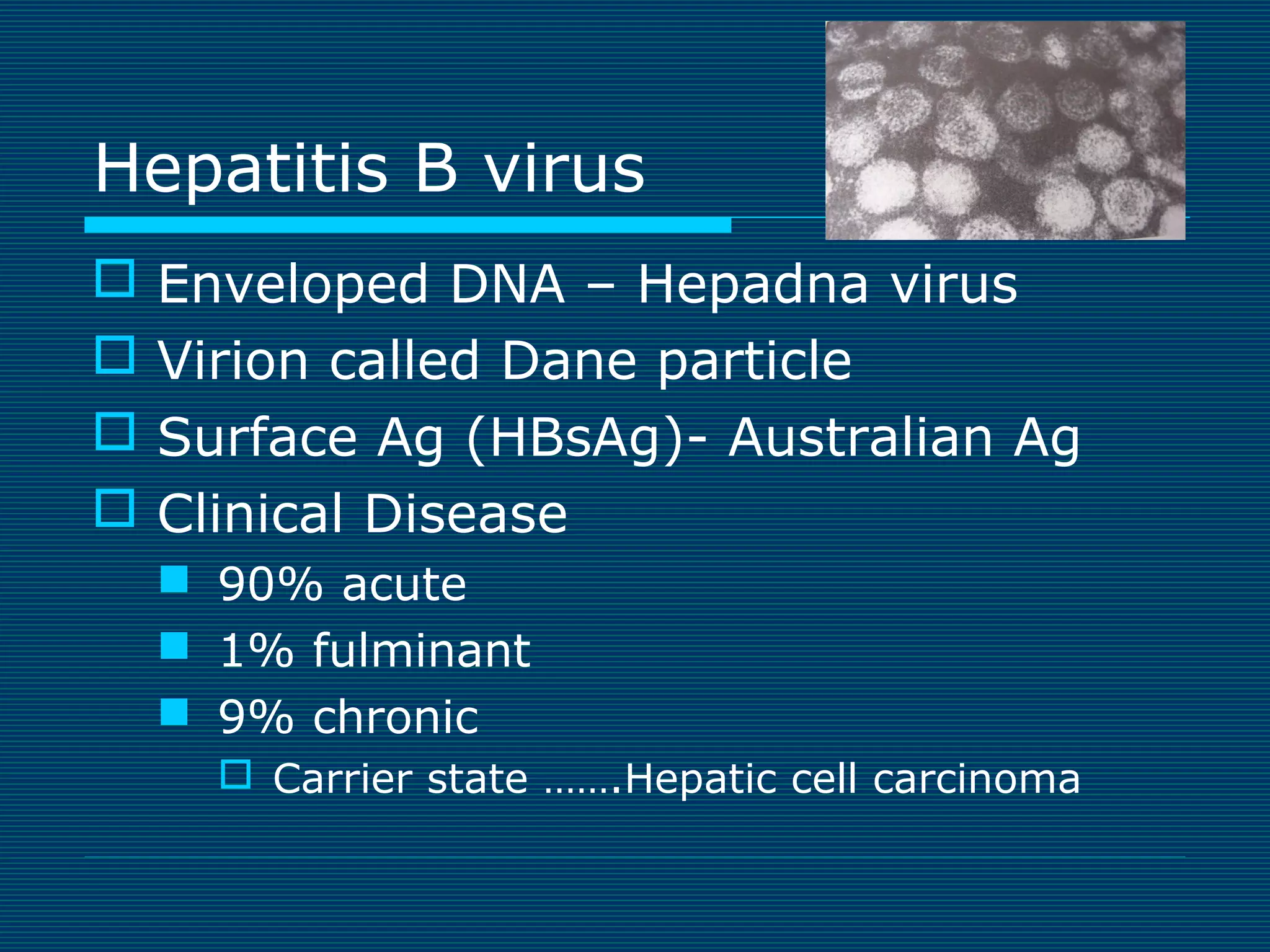 Hepatitis B virus





Enveloped DNA – Hepadna virus
Virion called Dane particle
Surface Ag (HBsAg)- Australian Ag
Clinical Disease
 90% acute
 1% fulminant
 9% chronic
 Carrier state …….Hepatic cell carcinoma

 