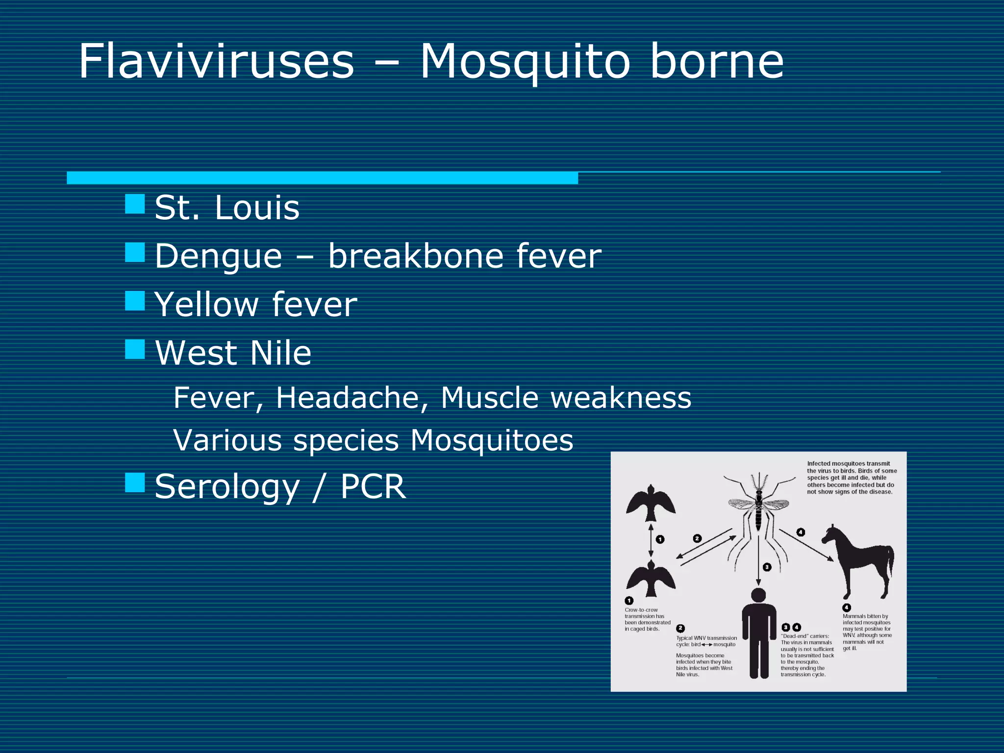 Flaviviruses – Mosquito borne
 St. Louis
 Dengue – breakbone fever
 Yellow fever
 West Nile
Fever, Headache, Muscle weakness
Various species Mosquitoes

 Serology / PCR

 