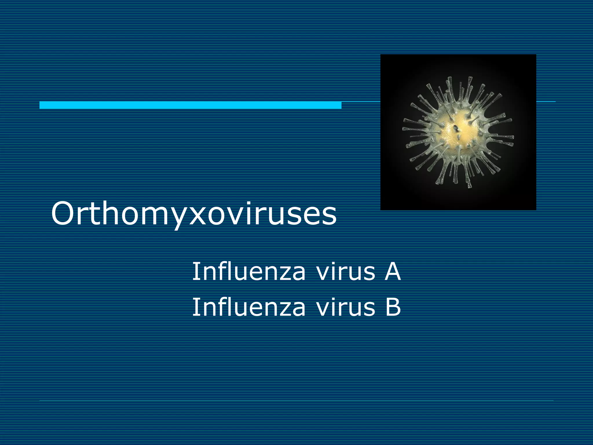 Orthomyxoviruses
Influenza virus A
Influenza virus B

 