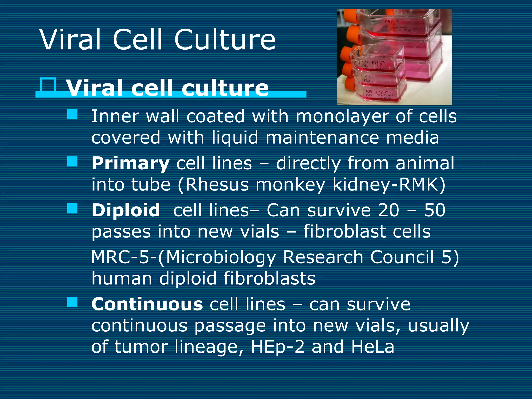 Viral Cell Culture
 Viral cell culture
 Inner wall coated with monolayer of cells
covered with liquid maintenance media
 Primary cell lines – directly from animal
into tube (Rhesus monkey kidney-RMK)
 Diploid cell lines– Can survive 20 – 50
passes into new vials – fibroblast cells
MRC-5-(Microbiology Research Council 5)
human diploid fibroblasts
 Continuous cell lines – can survive
continuous passage into new vials, usually
of tumor lineage, HEp-2 and HeLa

 