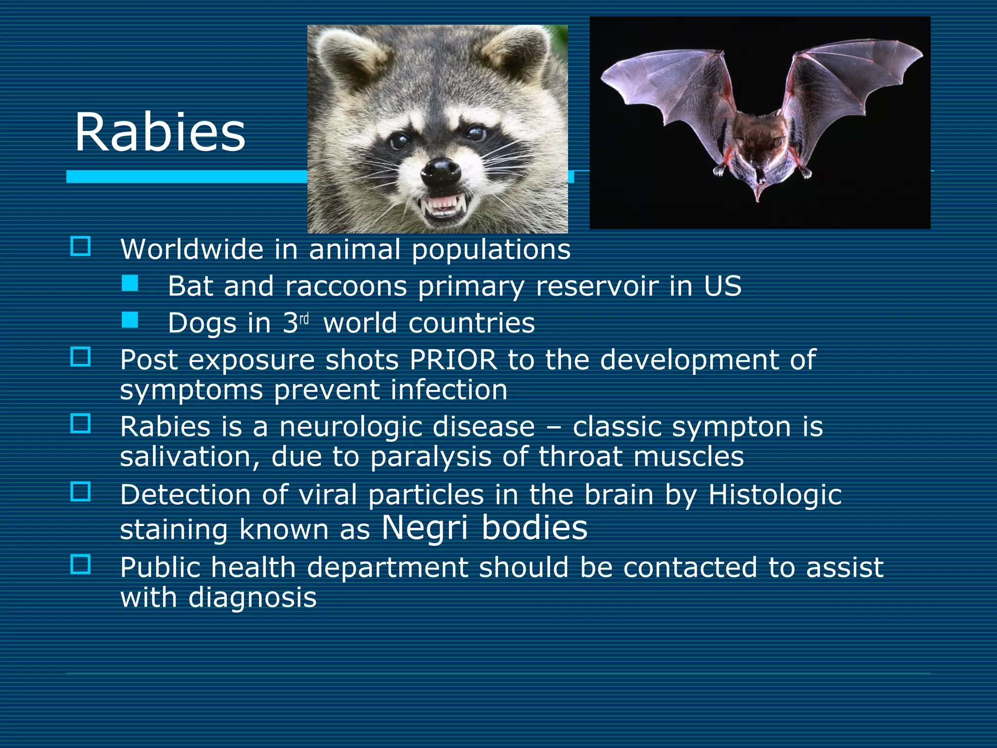 Rabies
 Worldwide in animal populations
 Bat and raccoons primary reservoir in US
 Dogs in 3rd world countries
 Post exposure shots PRIOR to the development of
symptoms prevent infection
 Rabies is a neurologic disease – classic sympton is
salivation, due to paralysis of throat muscles
 Detection of viral particles in the brain by Histologic
staining known as Negri bodies
 Public health department should be contacted to assist
with diagnosis

 
